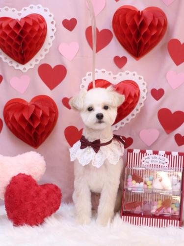 20240217ヌンくん